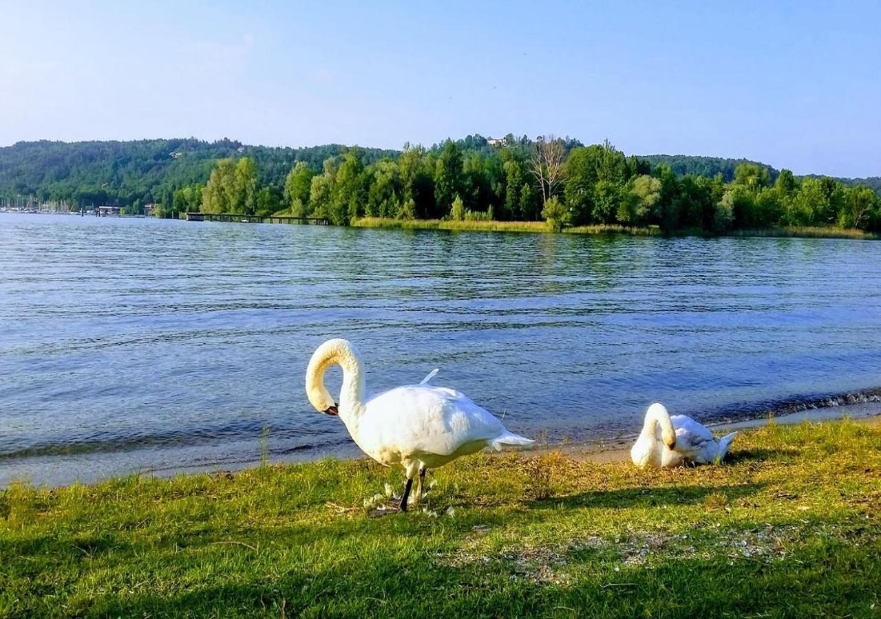 Corte Del Sole Дормеллетто Екстер'єр фото
